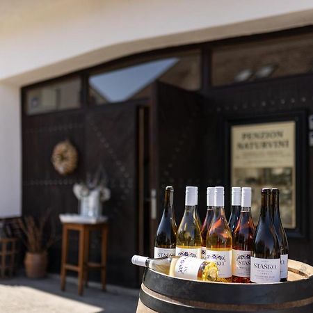 Miroslav  Penzion A Vinarstvi Naturvini מראה חיצוני תמונה